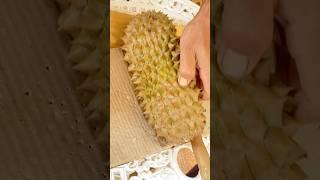 Creamy Durian Cutting ทุเรียนหมอนทอง#durian #fruit #shorts