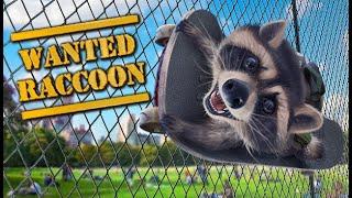 Енот играет в Енота! - Wanted Raccoon #1