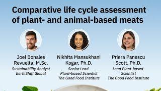 Comparative life cycle assessment of plant- and animal-based meats