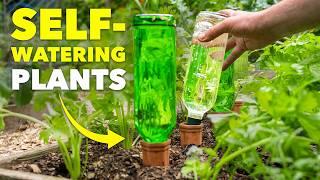 This Ancient Watering Technique will Save Your Plants