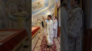 23.NEDEĽA PO PÄŤDESIATNICI #pravoslavie #orthodox #shorts #shortsyoutube #shirtsfeed #4k #4kstatus