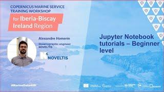 Copernicus Marine Service Training Workshop for IBI - Jupyter Notebook tutorial - Beginner level