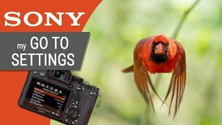 My Sony Camera Settings for Wildlife & Bird Photography: For A7RIV A7RII A9 A9II