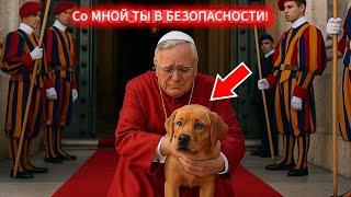Папа Лев XIV сотворил немыслимое с собакой Папы Франциска… И оставил Мир в слезах