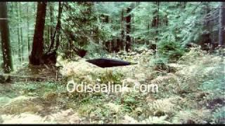 RE: Fact or Faked - "Sasquatch Sprint/Alien Attacker"
