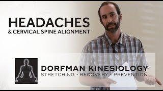 The Relationship Between Headaches and Cervical Spine Alignment with Brian Dorfman