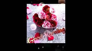 Aakash Jha