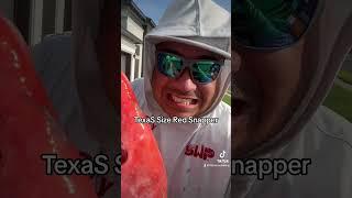 Texas Size Red Snapper