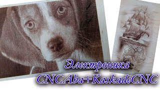 Электроника для лазерного гравёра  CNCAba+KaskadeCNC.