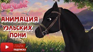 Анимация УЭЛЬСКИХ ПОНИ в Star Stable | Игра про лошадей