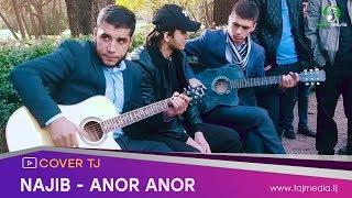 Начиб - Анор Анор (Бо гитара) / Najib - Anor Anor Cover TJ