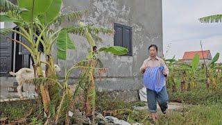 Baby monkey Nahu and his mother clean the house and prepare for a new life