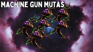 MACHINE GUN MUTA DESTRUCTION - Weekly Brawl [Starcraft 2 Direct Strike]