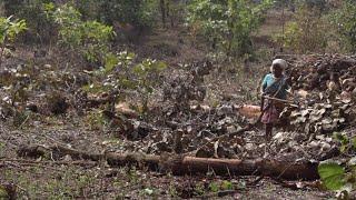 Issues in claiming community forest rights