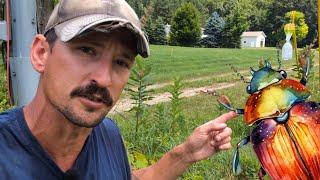 How to DEFEAT Japanese Beetles & Recycle Them