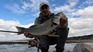 SPINNING FISHING FOR SEA BASS