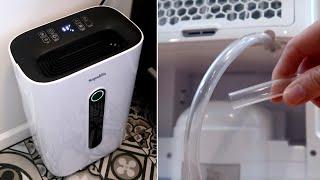 Best Dehumidifier 2022