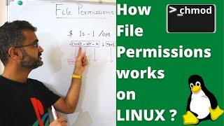 Linux Basics - How to manage file permissions correctly? (2022)