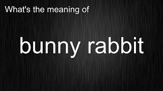 What's the meaning of "bunny rabbit", How to pronounce bunny rabbit?