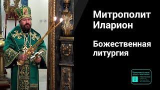 Митрополит Иларион | Прямая трансляция | Божественная литургия | 04.06.2023