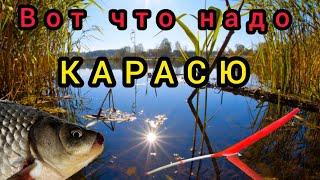 Как поймать капризаного Карася и Карпа?!Удиви этой НАСАДКОЙ  всю Рыбу!!!