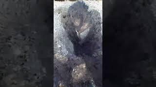 Наруто целуется с Саске ‍️‍