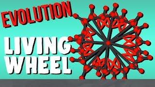 Evolving the Living Wheel! - Evolution Simulator