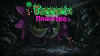 Terraria 1.4 mobile Мастер мод Плантера за стрелка