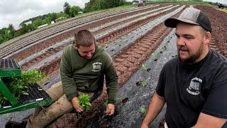 Huge planting news on the farm