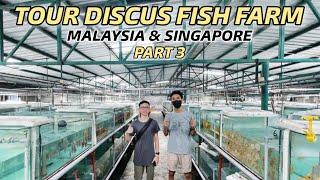 TOUR DISCUS FISH FARM MALAYSIA & SINGAPORE - PART 3