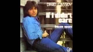 David Cassidy - If I Didn't Care