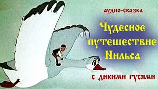 Чудесное путешествие Нильса с дикими гусями - аудиосказка