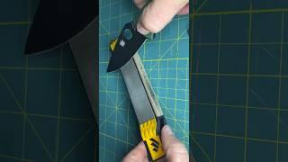 Using the Worksharp Guided Field Sharpener! #edc #knife #edcgear #worksharp #knifesharpening