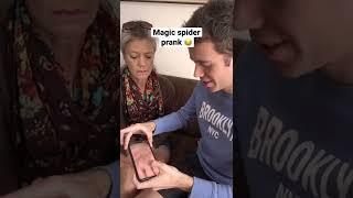 Magic Spider PRANK #shorts