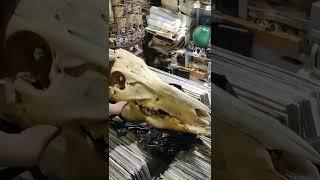 Мужик получил в лицо и продал антиквариат