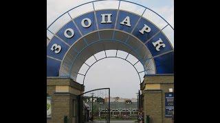 Прогулка по зоопарку - Гродно небольшой обзор часть 1 Zoo - Grodno, a small video review part 1