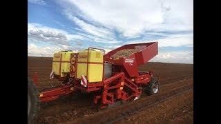 Grimme GB 330 Three row bed belt planter