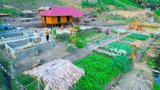 How Sang Vy harvests agricultural products on the farm, vegetable garden, and builds with her family