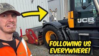 Caught In The Act! Someone Is Secretly Watching Us  | Grounds Maintenance & Tractor Work