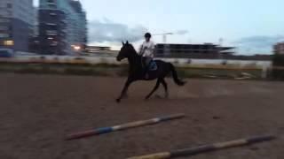 Конхарт 05.08.2015
