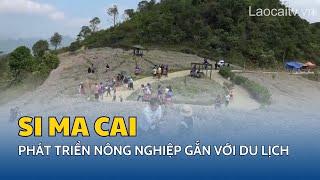 Phát triển nông nghiệp gắn với du lịch ở Si Ma Cai | THLC