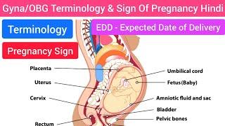 Terminology of Gynaecology & Obstetrics in Hindi, Basics of Pregnancy, Sign Of Obstetrics in Hindi