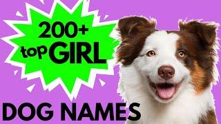 Top 200 Unique FEMALE Dog Names – Girl Dog Names