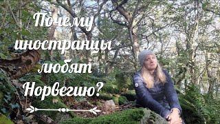 Почему иностранцы любят Норвегию?