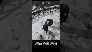 Who Will Win? Duel 12 #bannerlord