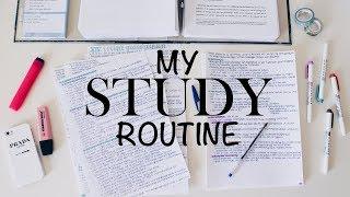 MY STUDY ROUTINE - study routine of a law student