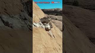 Is This a Prehistoric Snake Fossil in the Rock!?
