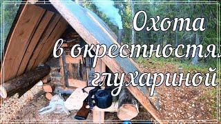 Охота в окрестностях избы глухариной