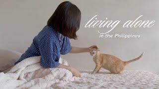 Living Alone in the Philippines: cooking, vet visit, Korean mart shopping, organizing