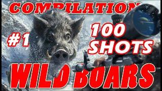 Wild Boar 100 shots compilation 1